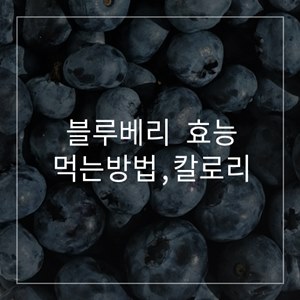블루베리