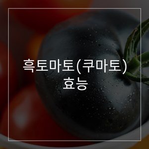 흑토마토